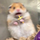 Kevin Kneissl's avatar